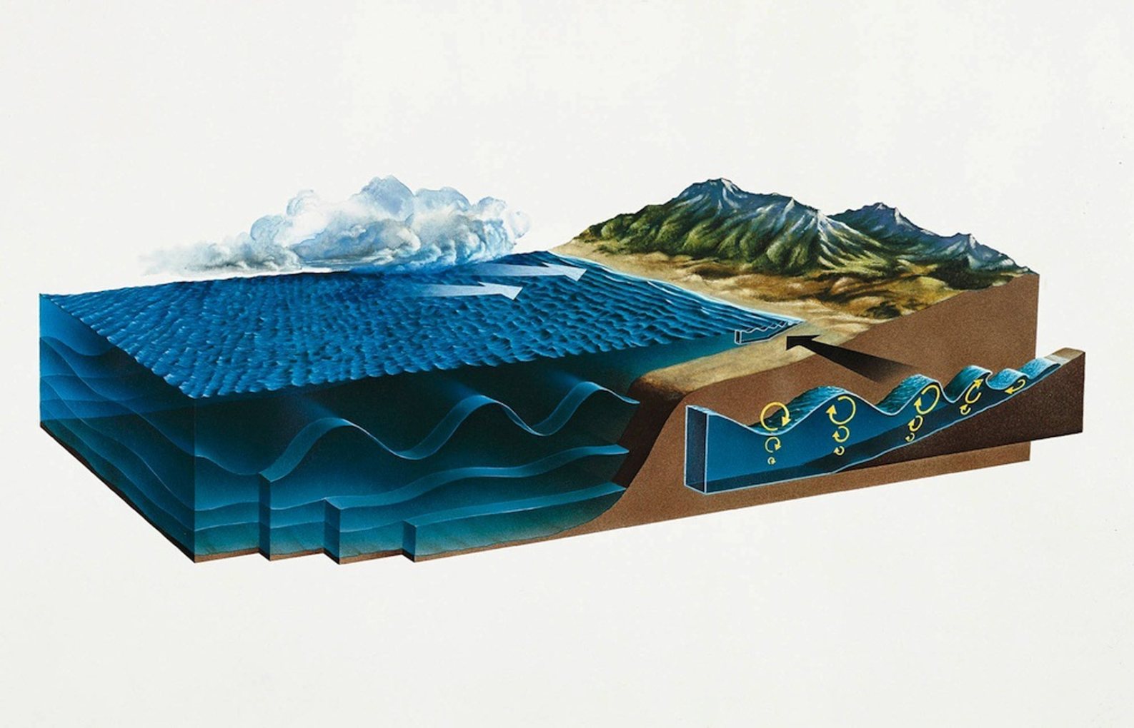 Wave-types-WO-1992