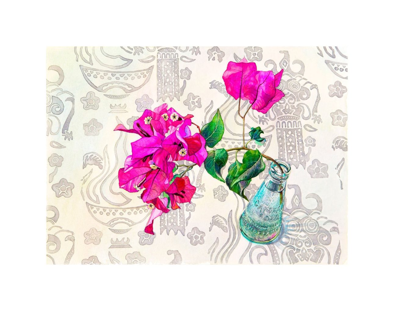 bougainvillea