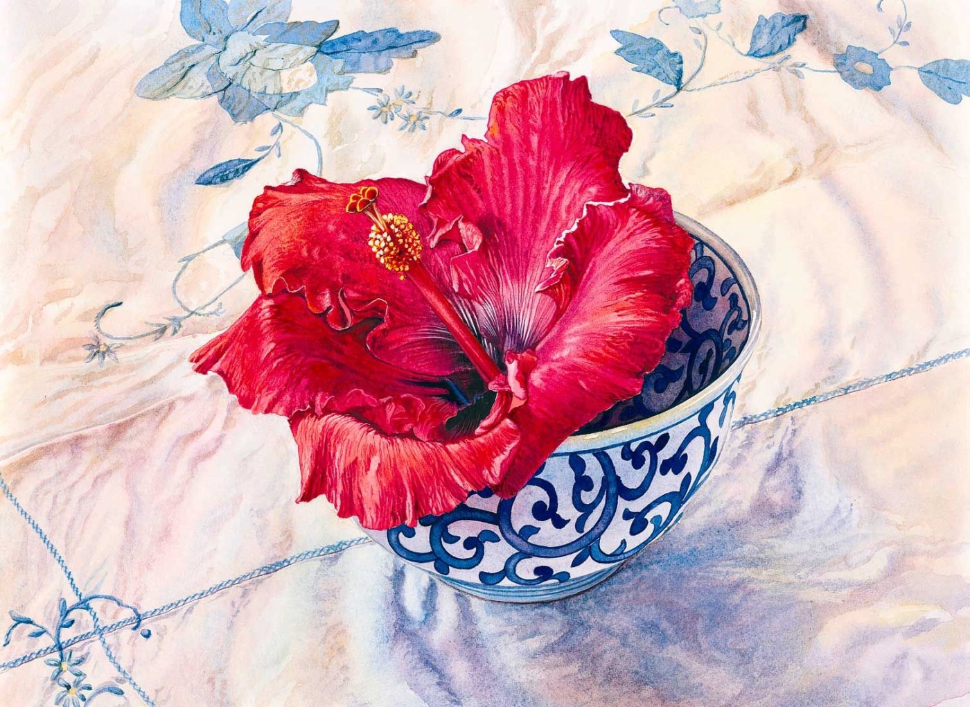 hibiscus