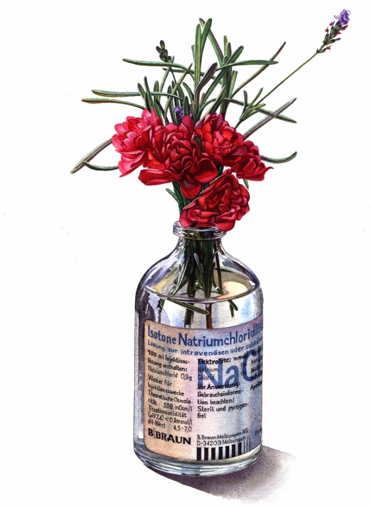 wildroseinbottle